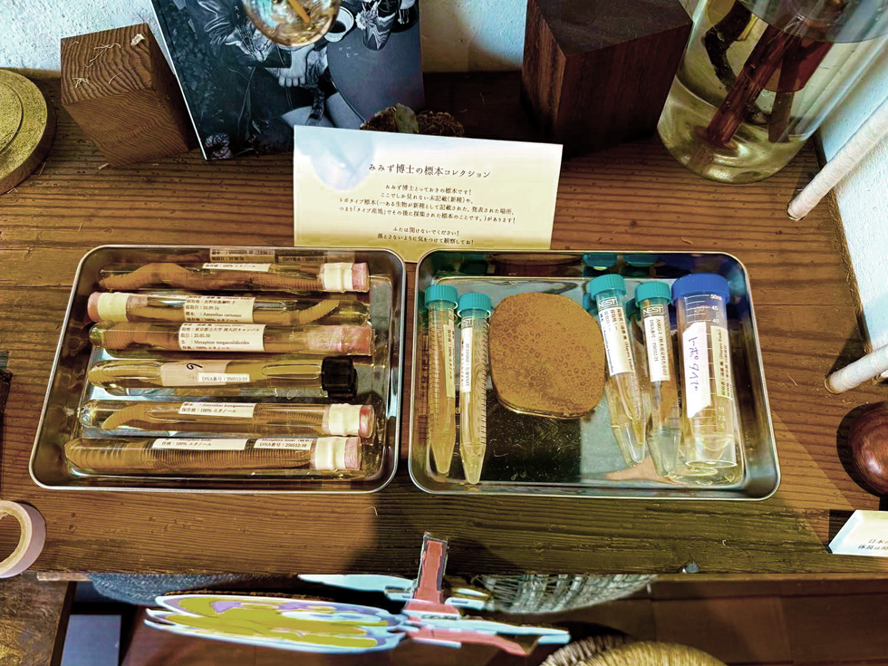 DNA解析による科学的なミミズ研究